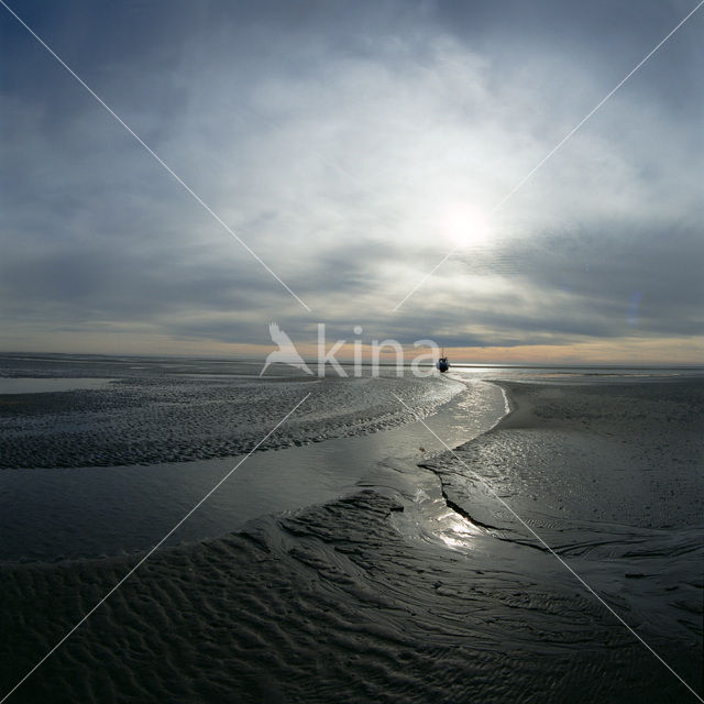 Waddensea