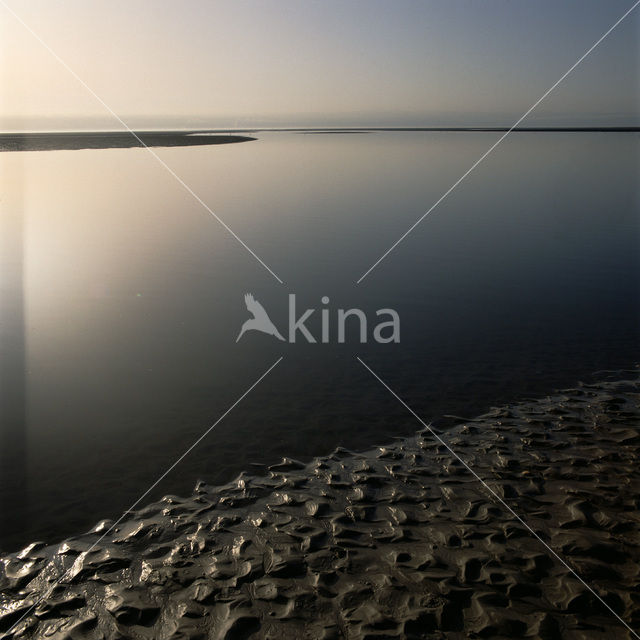 Waddenzee