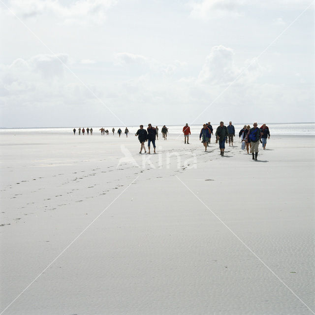 Waddensea