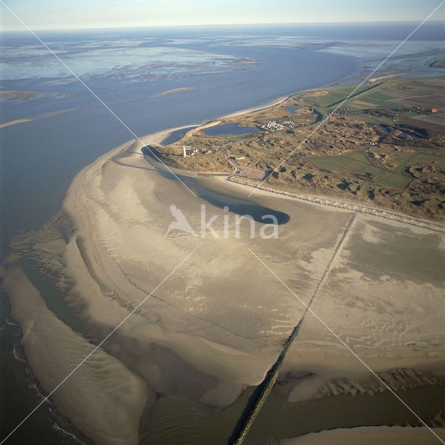 Waddensea