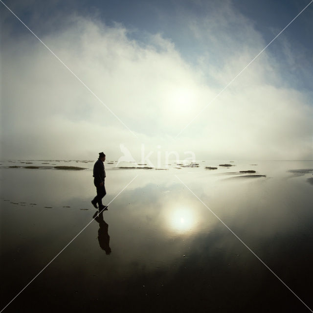 Waddensea