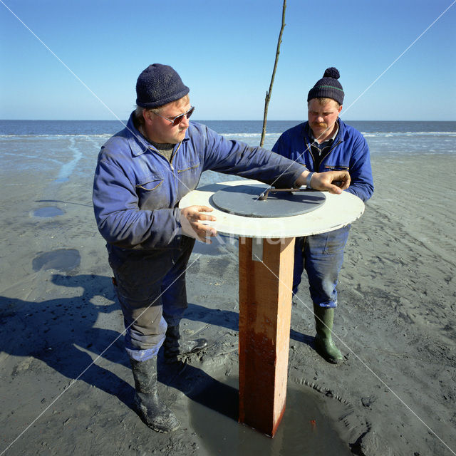 Waddenzee