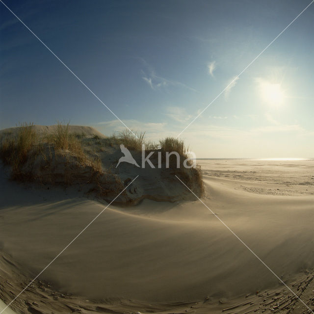 Waddenzee