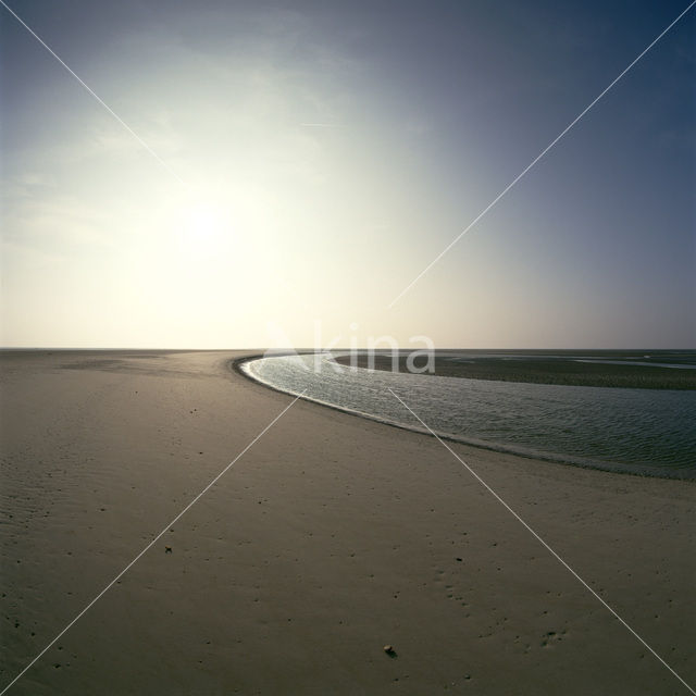 Waddensea
