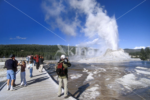 Yellowstone national park