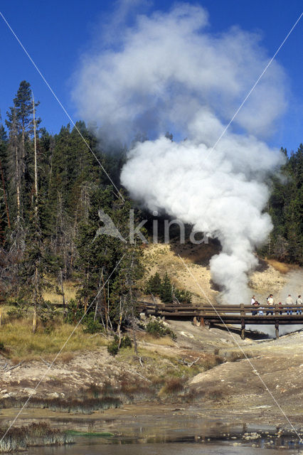 Yellowstone national park