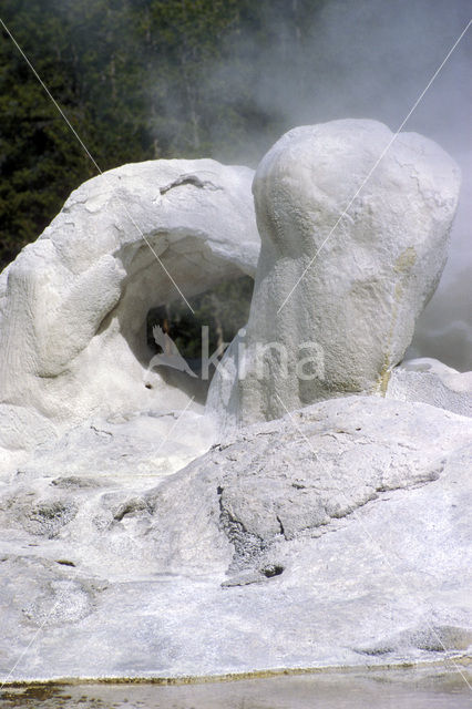 Yellowstone national park