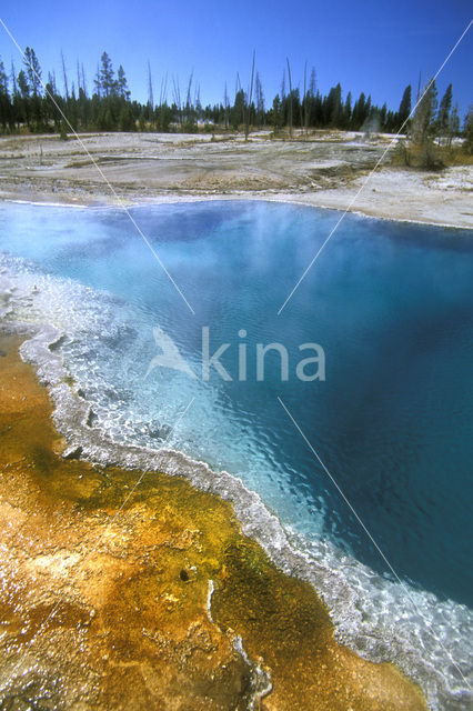 Yellowstone national park