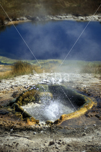 Yellowstone national park