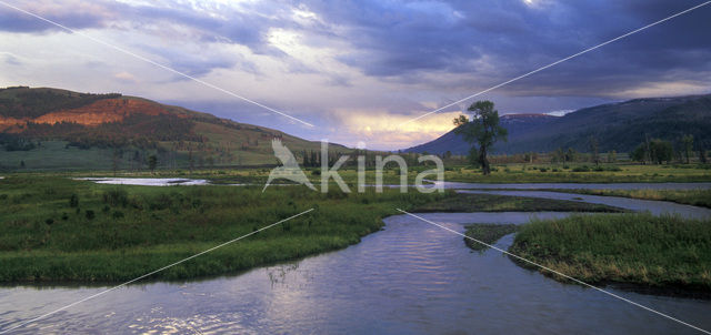 Yellowstone national park
