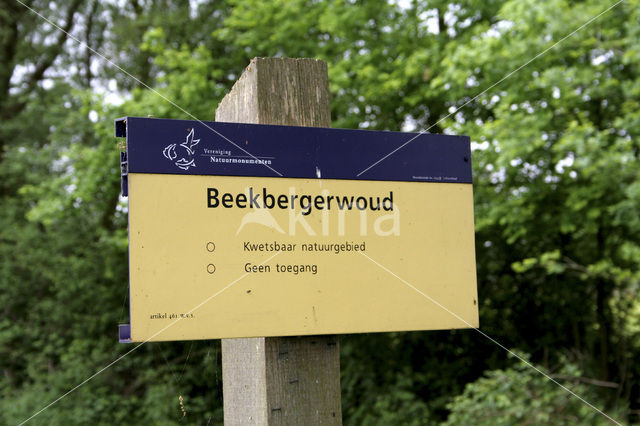 Beekbergerwoud