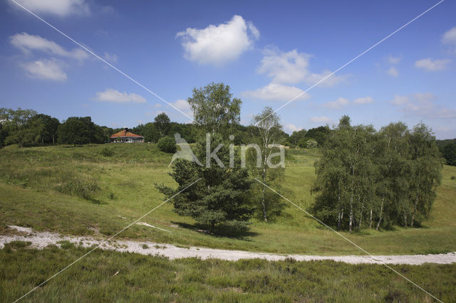 Brunssummerheide