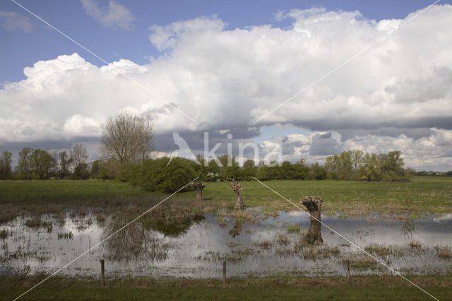 Buitenwaarden Wijhe