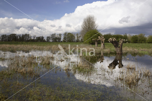 Buitenwaarden Wijhe