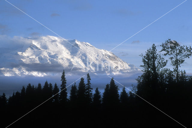 Denali National Park