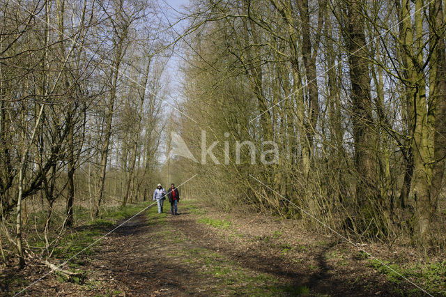 Harderbos