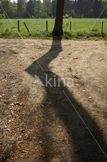 Landgoed De Duinen