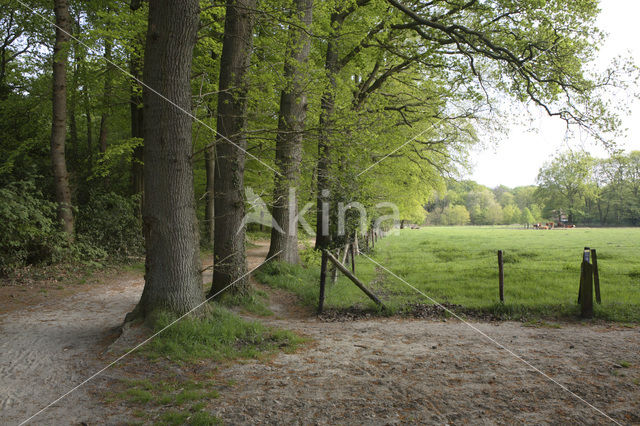 Landgoed De Duinen