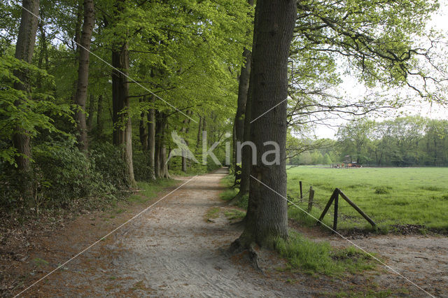 Landgoed De Duinen