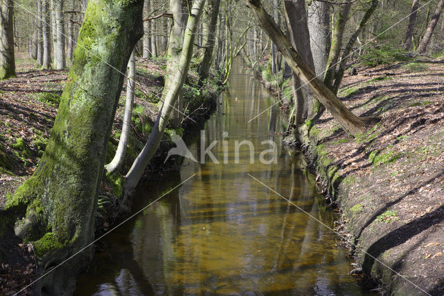 Landgoed Leuvenhorst