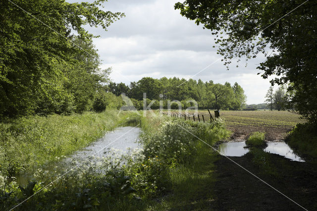 Landgoed Voorstonden