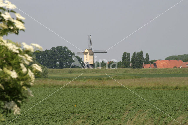 Molen van Batenburg