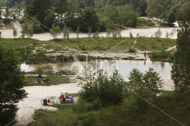 National Park de Maasduinen