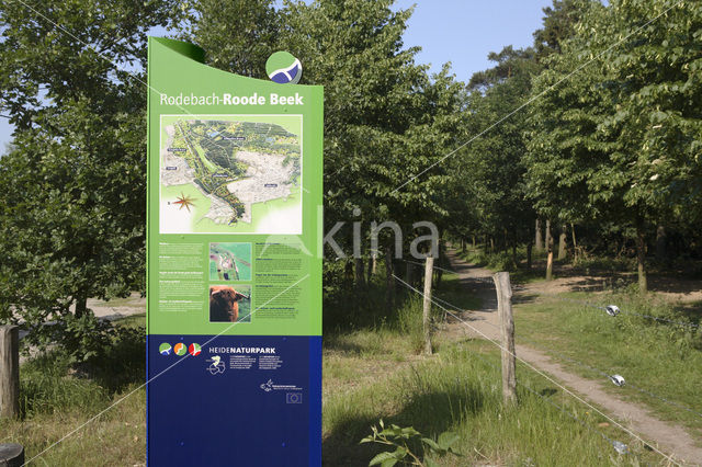 Nationaal Park de Maasduinen