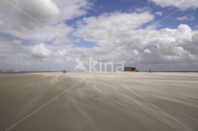 National Park Schiermonnikoog
