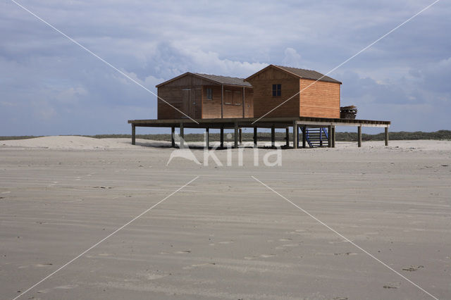 National Park Schiermonnikoog