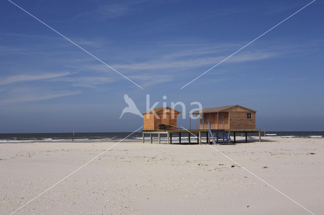 Nationaal park Schiermonnikoog