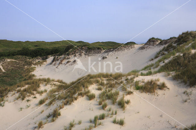 Nationaal park Schiermonnikoog