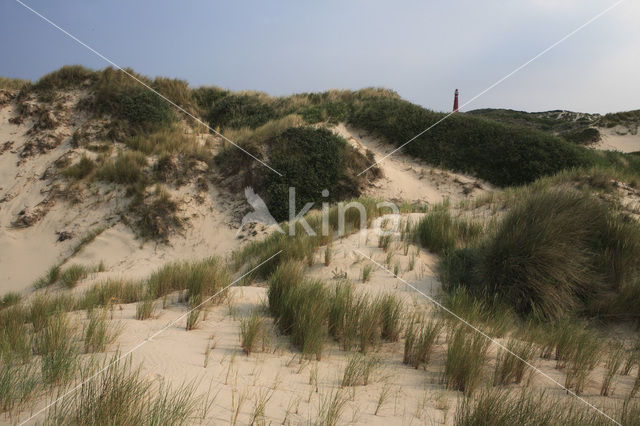 National Park Schiermonnikoog