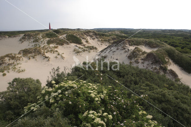 Nationaal park Schiermonnikoog