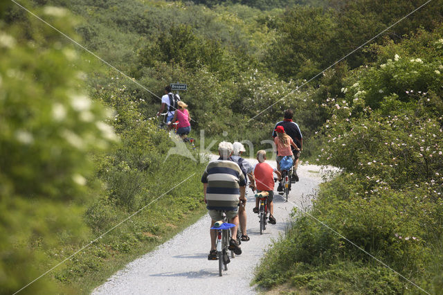 National Park Schiermonnikoog