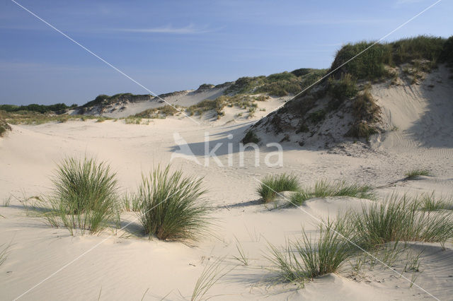 National Park Schiermonnikoog