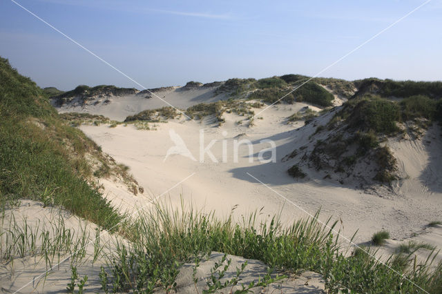 National Park Schiermonnikoog