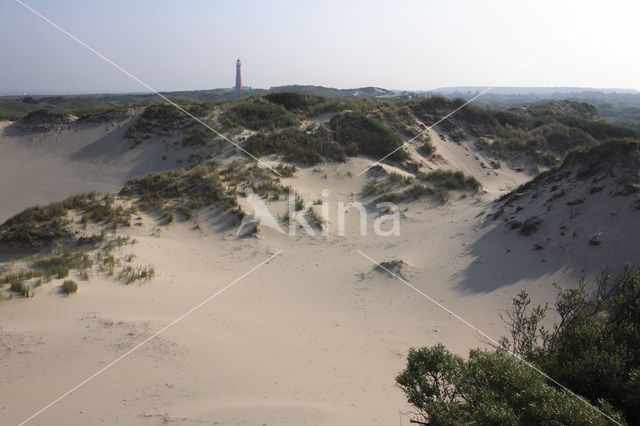 National Park Schiermonnikoog