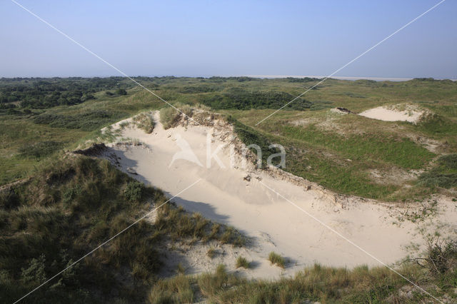 Nationaal park Schiermonnikoog