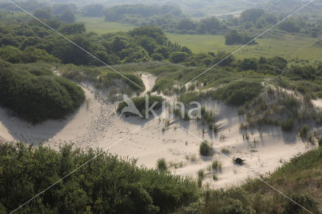 National Park Schiermonnikoog