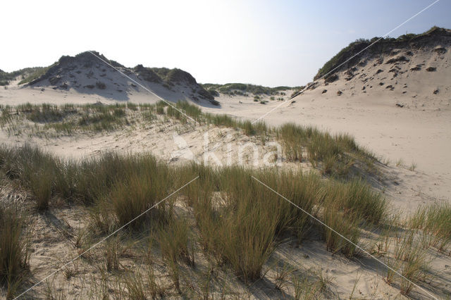 Nationaal park Schiermonnikoog