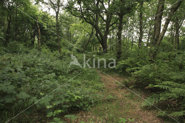 Nationaal park Schiermonnikoog