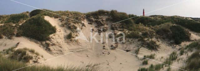 Nationaal park Schiermonnikoog