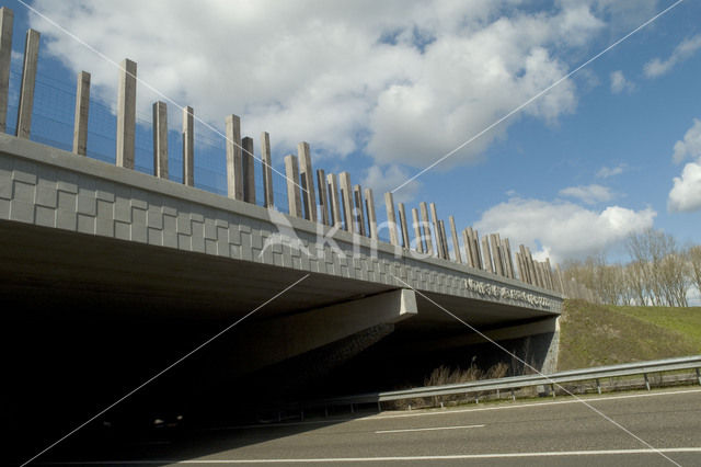 Wildlife crossing Het Groene Woud