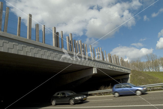 Wildlife crossing Het Groene Woud