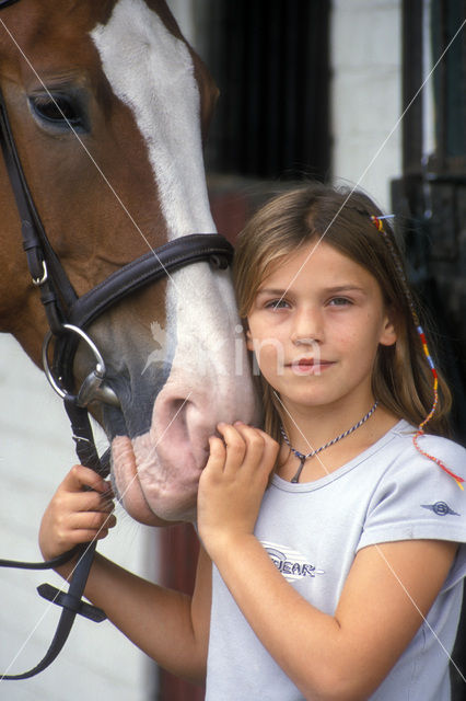 Paard (Equus spp)