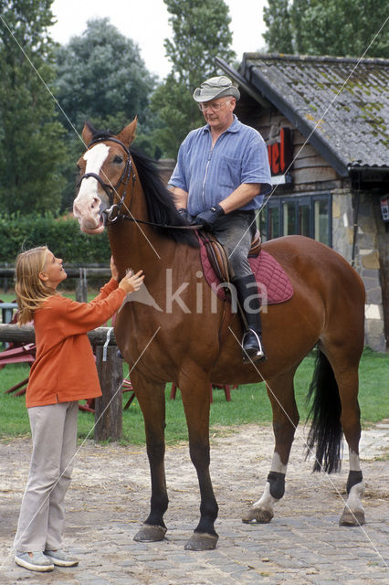 Horse (Equus spp)