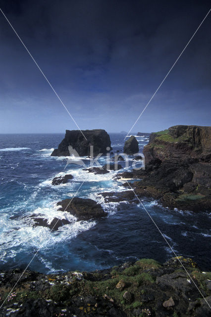Shetland eilanden