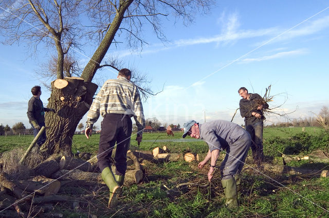 Vlaanderen