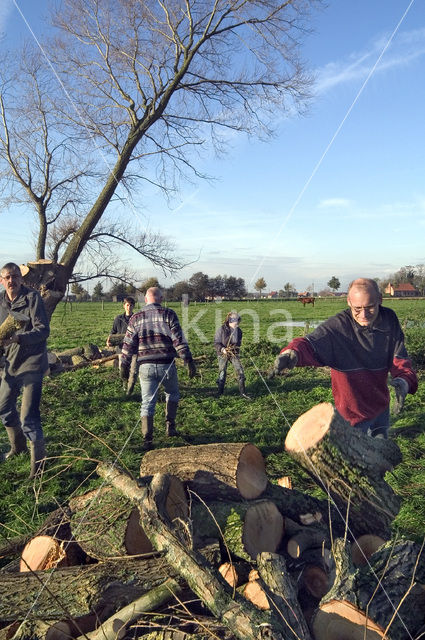 Vlaanderen